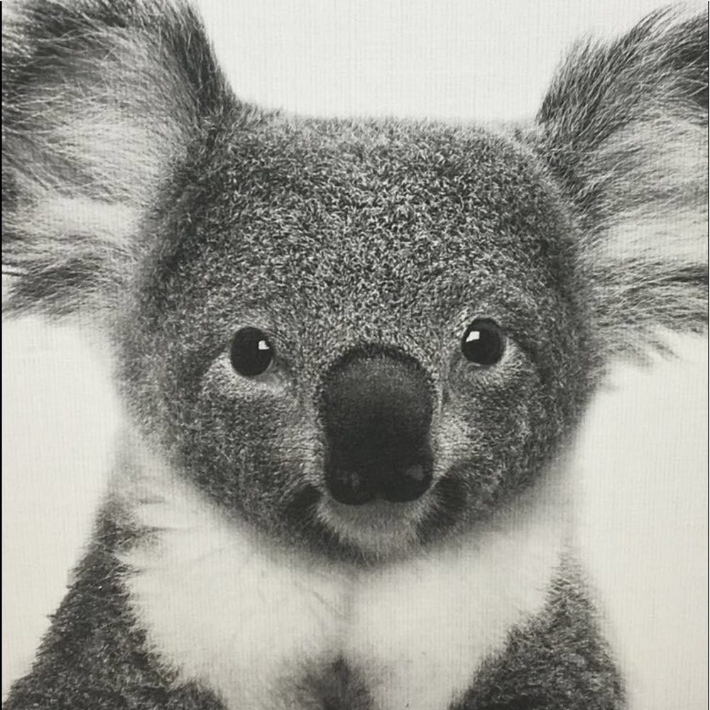 Meet your Posher, Mimi